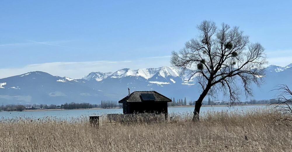 Bodensee Apartments, Sauna, Lake Walks, Free Parking, Self Checkin, Nature Reserve, Restaurants Nearby Gaissau  Екстериор снимка