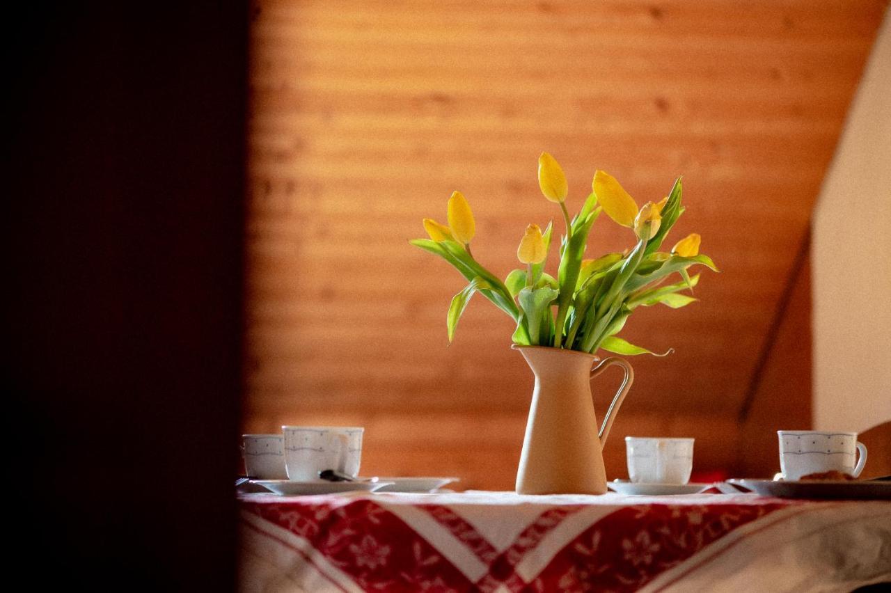 Bodensee Apartments, Sauna, Lake Walks, Free Parking, Self Checkin, Nature Reserve, Restaurants Nearby Gaissau  Екстериор снимка