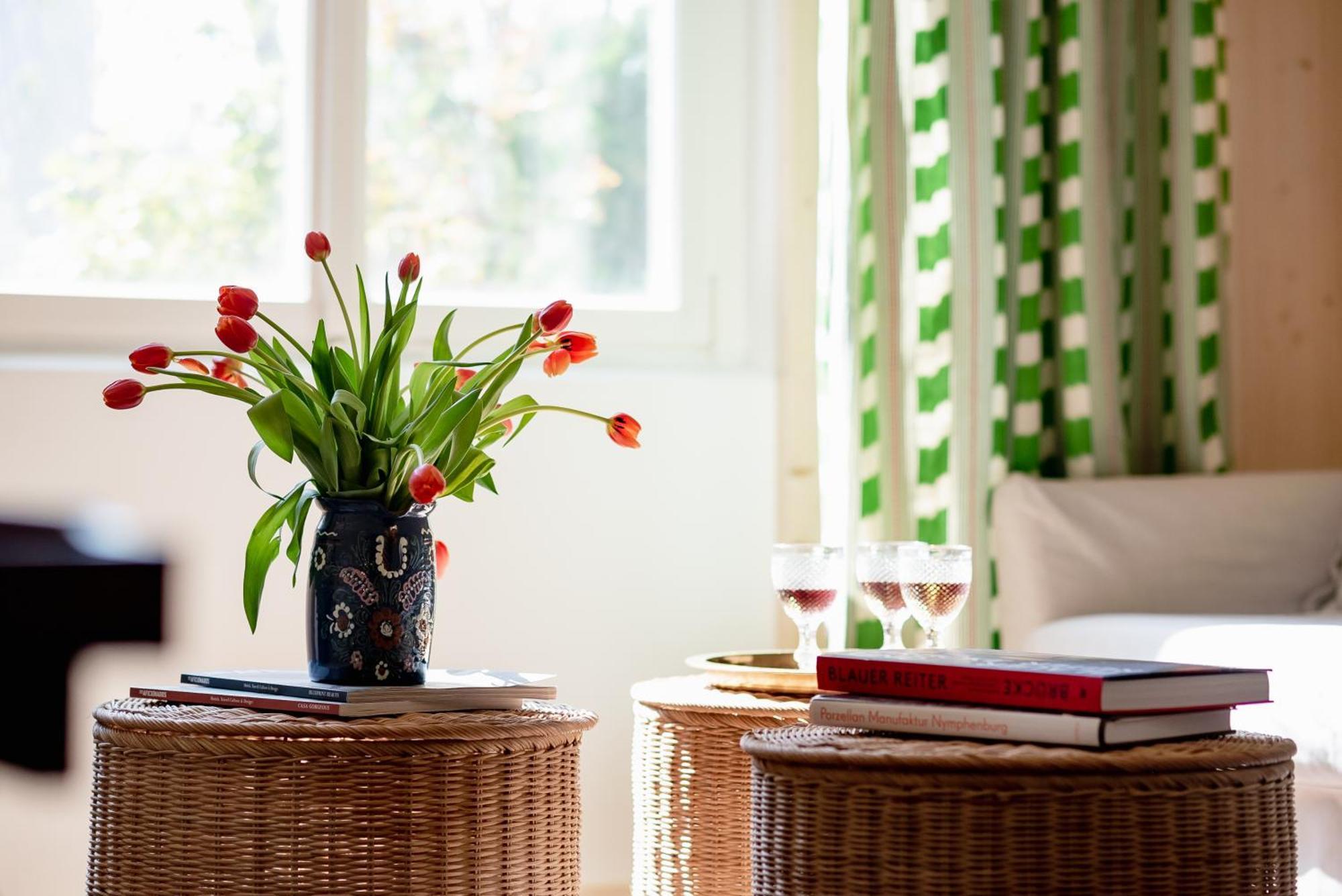 Bodensee Apartments, Sauna, Lake Walks, Free Parking, Self Checkin, Nature Reserve, Restaurants Nearby Gaissau  Екстериор снимка