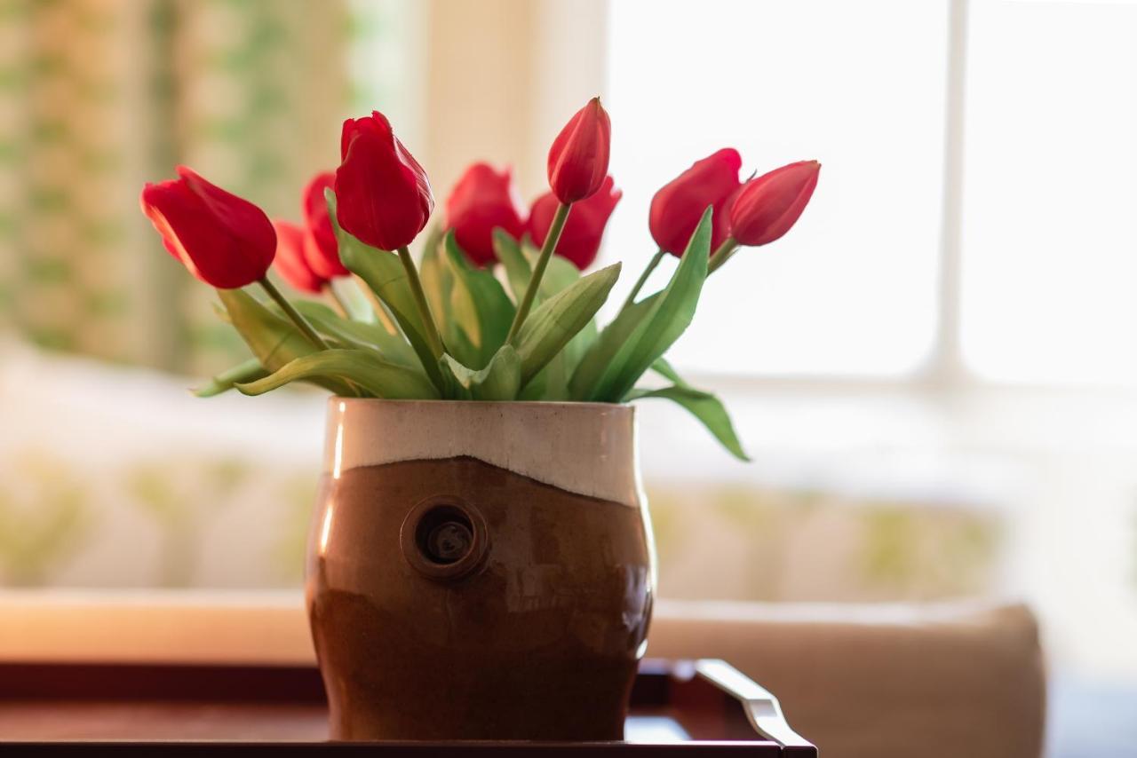 Bodensee Apartments, Sauna, Lake Walks, Free Parking, Self Checkin, Nature Reserve, Restaurants Nearby Gaissau  Екстериор снимка